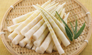 KUHI RAW BAMBOO SHOOT