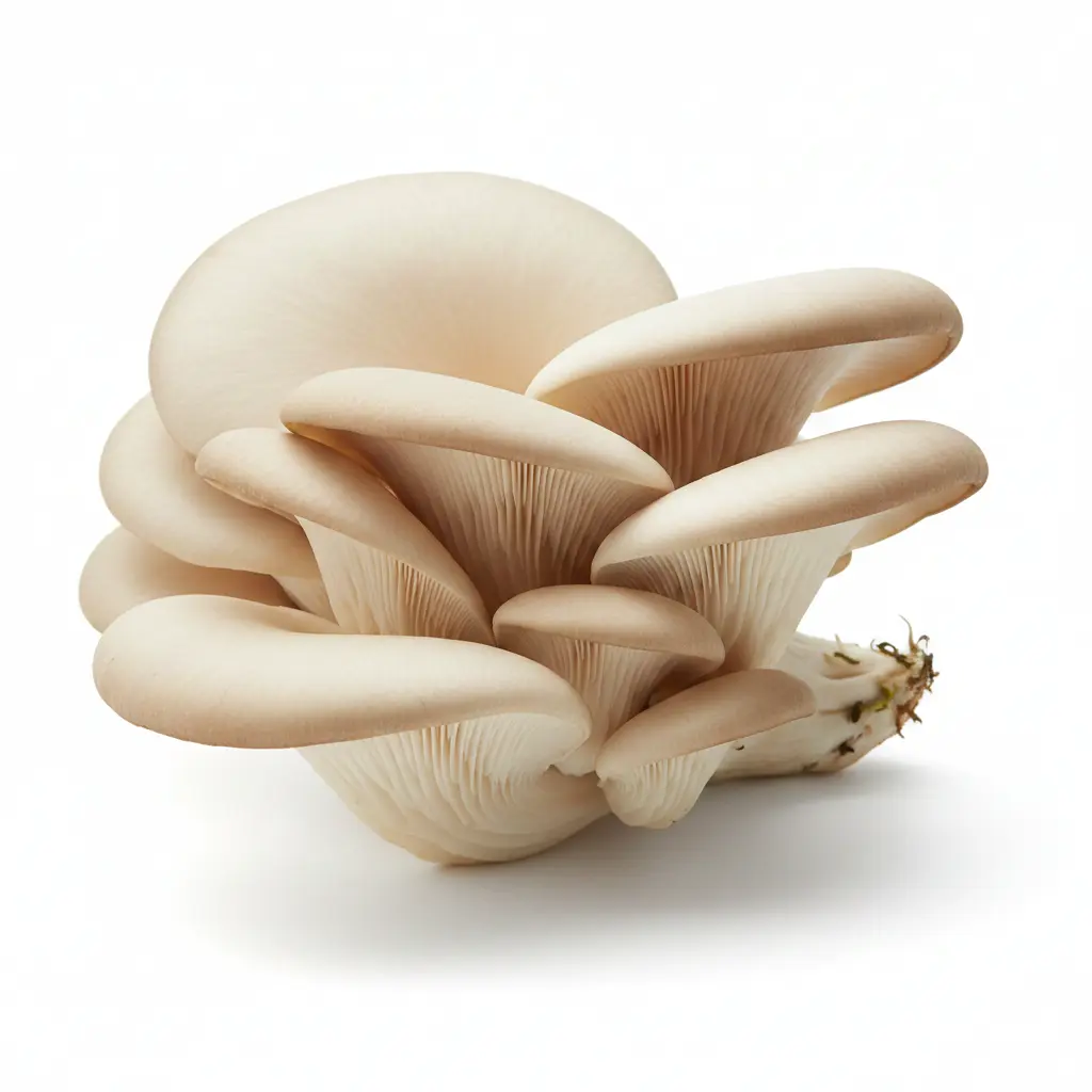 Oyster-Mushroom-King-Chilli-Pickle-1