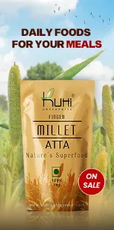 kuhi millet